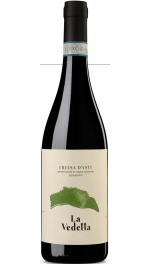 Barbera D’Asti DOCG “Sarasino” 2024.75l